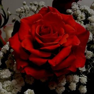 Meet your Posher, Karyle